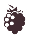 blackberryicon_purp2